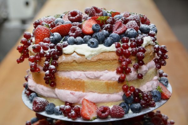 DSC_0379-scaled-r4u0t2kkb9vnfepaa8twa0bj2yj3vzutf1x9n89hnk